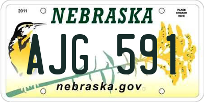 NE license plate AJG591
