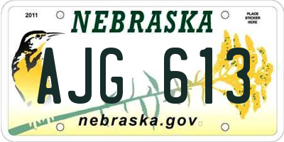 NE license plate AJG613