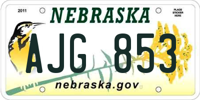 NE license plate AJG853