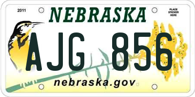 NE license plate AJG856