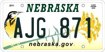 NE license plate AJG871