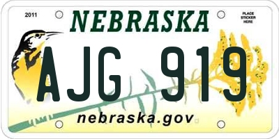 NE license plate AJG919