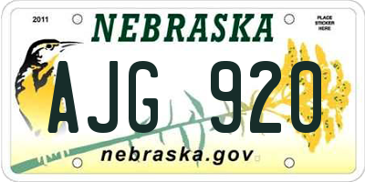 NE license plate AJG920