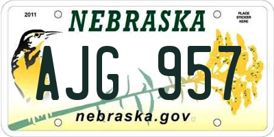 NE license plate AJG957