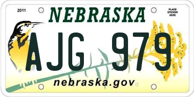 NE license plate AJG979