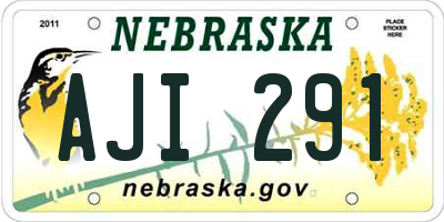NE license plate AJI291
