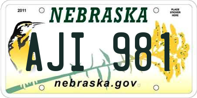 NE license plate AJI981
