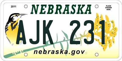NE license plate AJK231