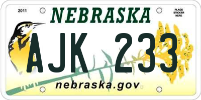 NE license plate AJK233