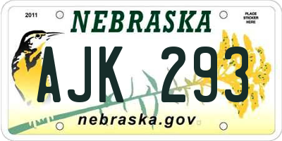 NE license plate AJK293