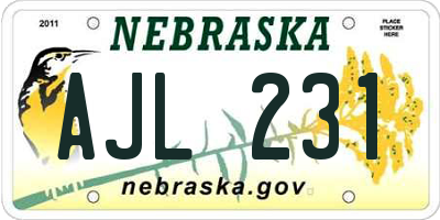 NE license plate AJL231