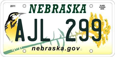 NE license plate AJL299