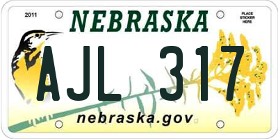 NE license plate AJL317