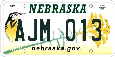 NE license plate AJM013