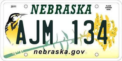 NE license plate AJM134