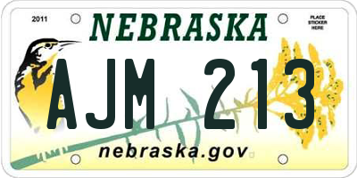 NE license plate AJM213
