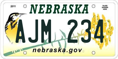 NE license plate AJM234