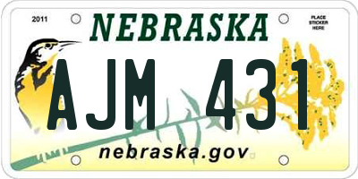 NE license plate AJM431