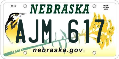 NE license plate AJM617