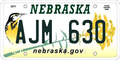 NE license plate AJM630