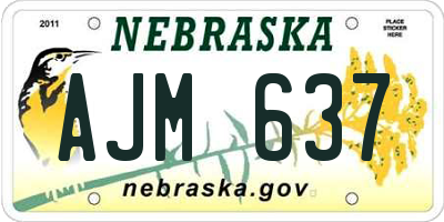 NE license plate AJM637