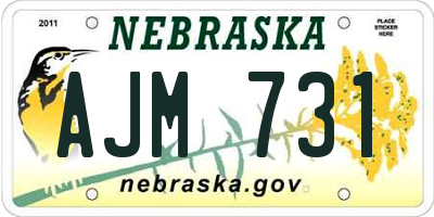 NE license plate AJM731