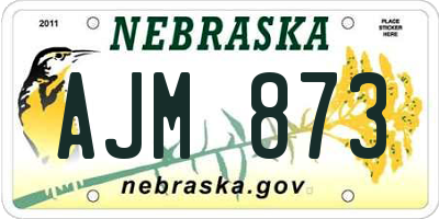 NE license plate AJM873