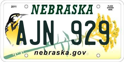 NE license plate AJN929