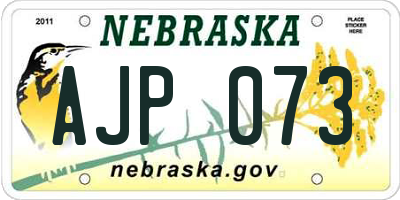 NE license plate AJP073