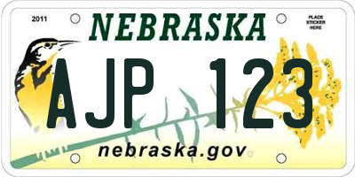 NE license plate AJP123