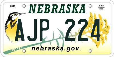 NE license plate AJP224
