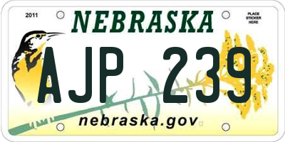NE license plate AJP239