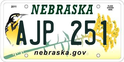 NE license plate AJP251