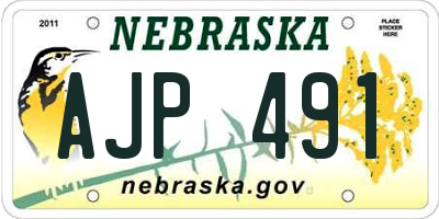 NE license plate AJP491