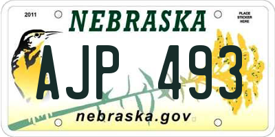 NE license plate AJP493