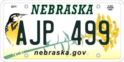 NE license plate AJP499