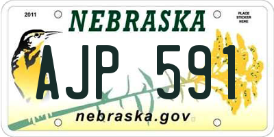 NE license plate AJP591