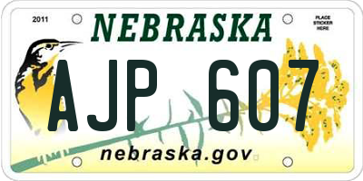 NE license plate AJP607