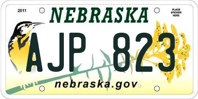 NE license plate AJP823