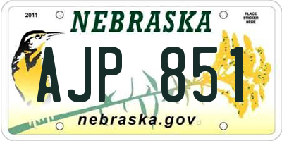 NE license plate AJP851