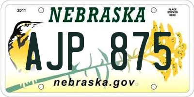 NE license plate AJP875