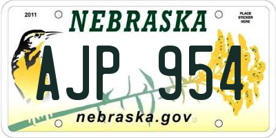 NE license plate AJP954