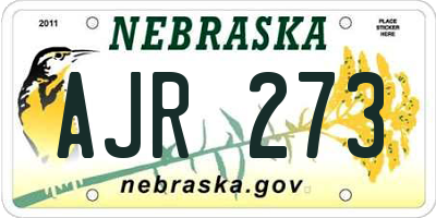 NE license plate AJR273