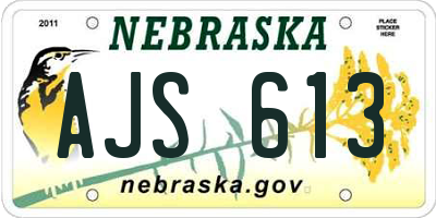 NE license plate AJS613