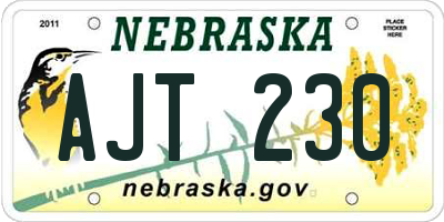 NE license plate AJT230
