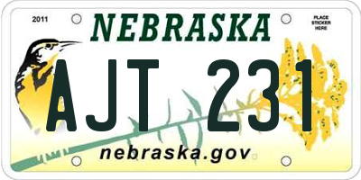 NE license plate AJT231