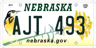 NE license plate AJT493