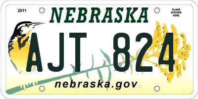 NE license plate AJT824