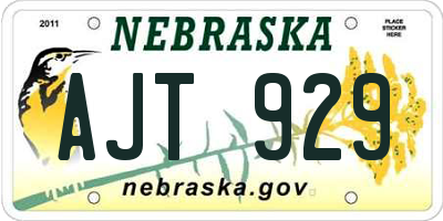 NE license plate AJT929