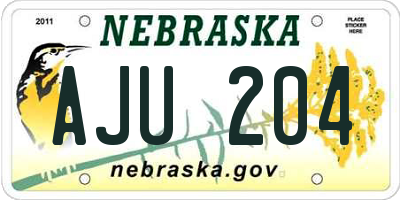 NE license plate AJU204